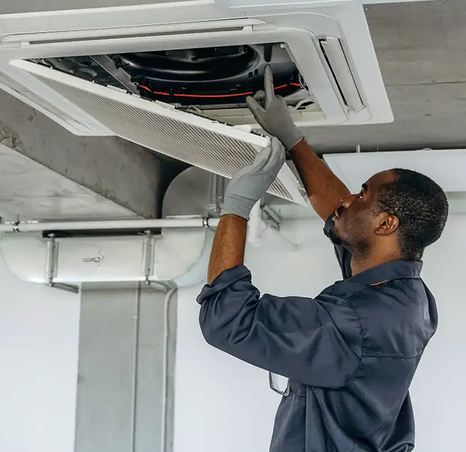 Why Homeowners & Businesses Trust Us in Palm Harbor, FL?