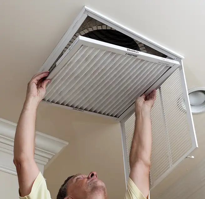 Why Homeowners & Businesses Trust Us in Palm Harbor, FL?