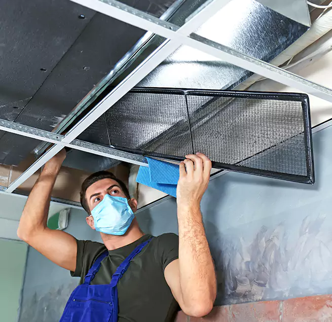  Why Homeowners Businesses Trust Us  in Palm Harbor, FL?