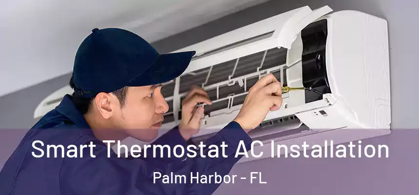  Smart Thermostat AC Installation Palm Harbor - FL