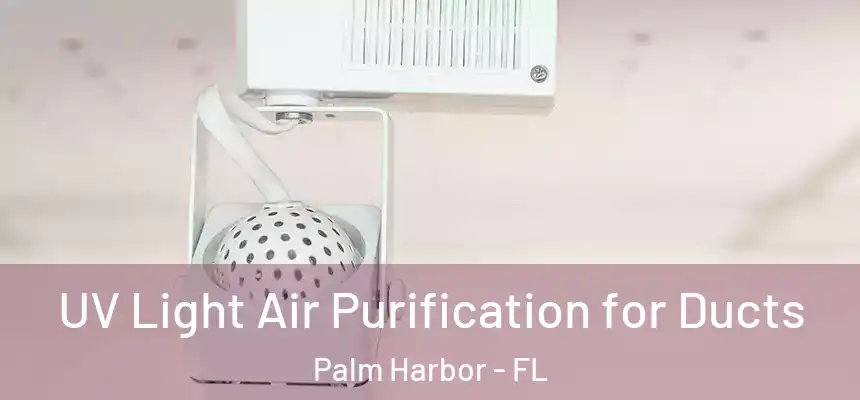  UV Light Air Purification for Ducts Palm Harbor - FL