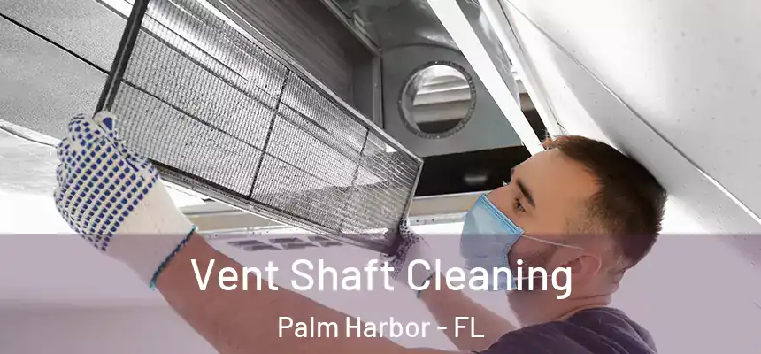  Vent Shaft Cleaning Palm Harbor - FL