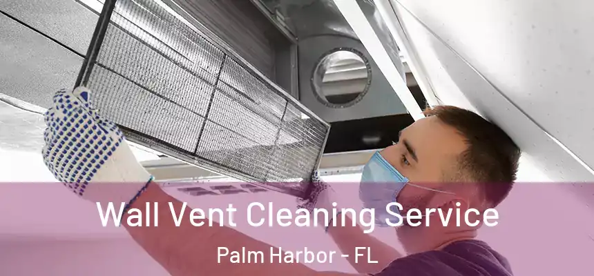  Wall Vent Cleaning Service Palm Harbor - FL
